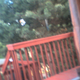 Image for article titled Uncle Milton Pet's Eye View Camera Lightning Review